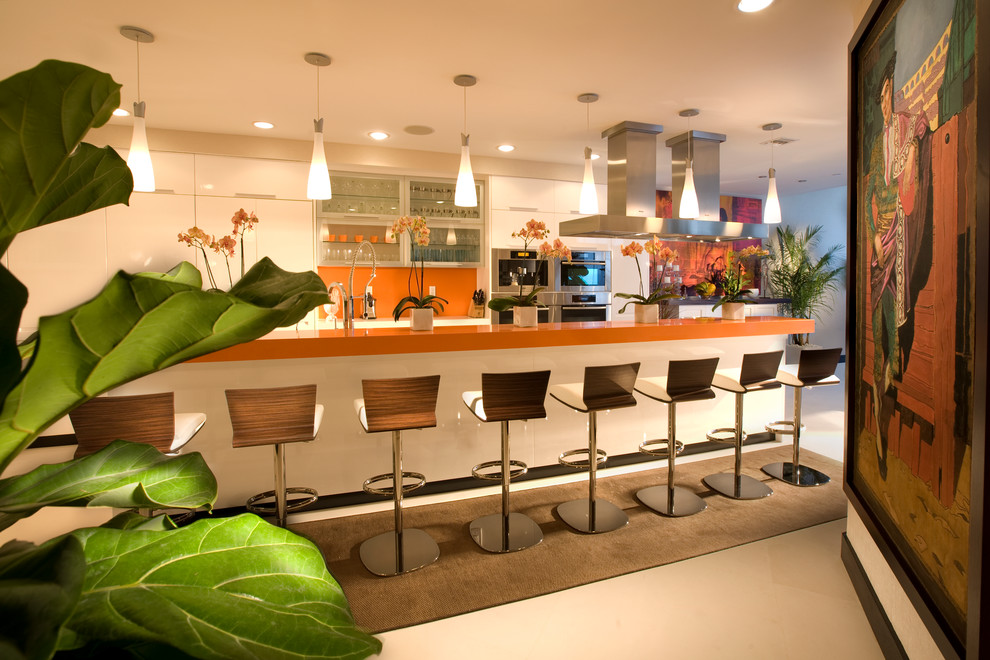 Kitchen - contemporary kitchen idea in Miami