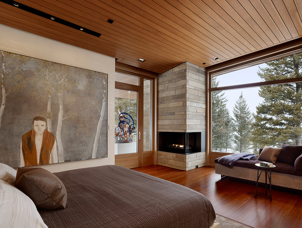 Photo of a contemporary bedroom in Other with a corner fireplace.