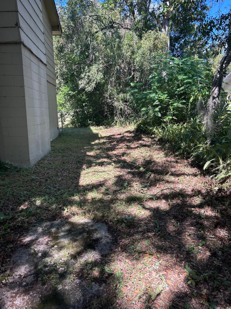 Landscaping Front Yard Clean Up
