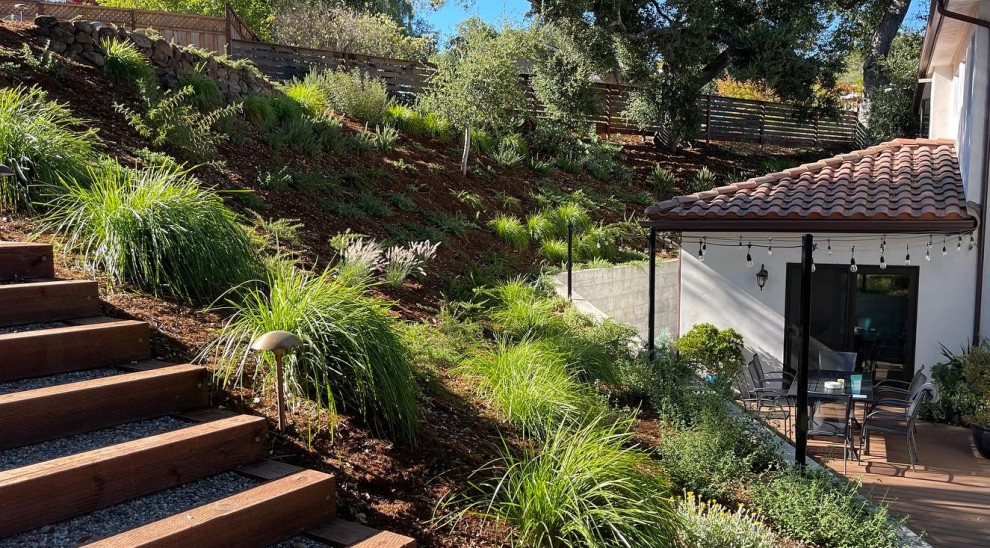 Oak Woodland Habitat Restoration in Scotts Valley