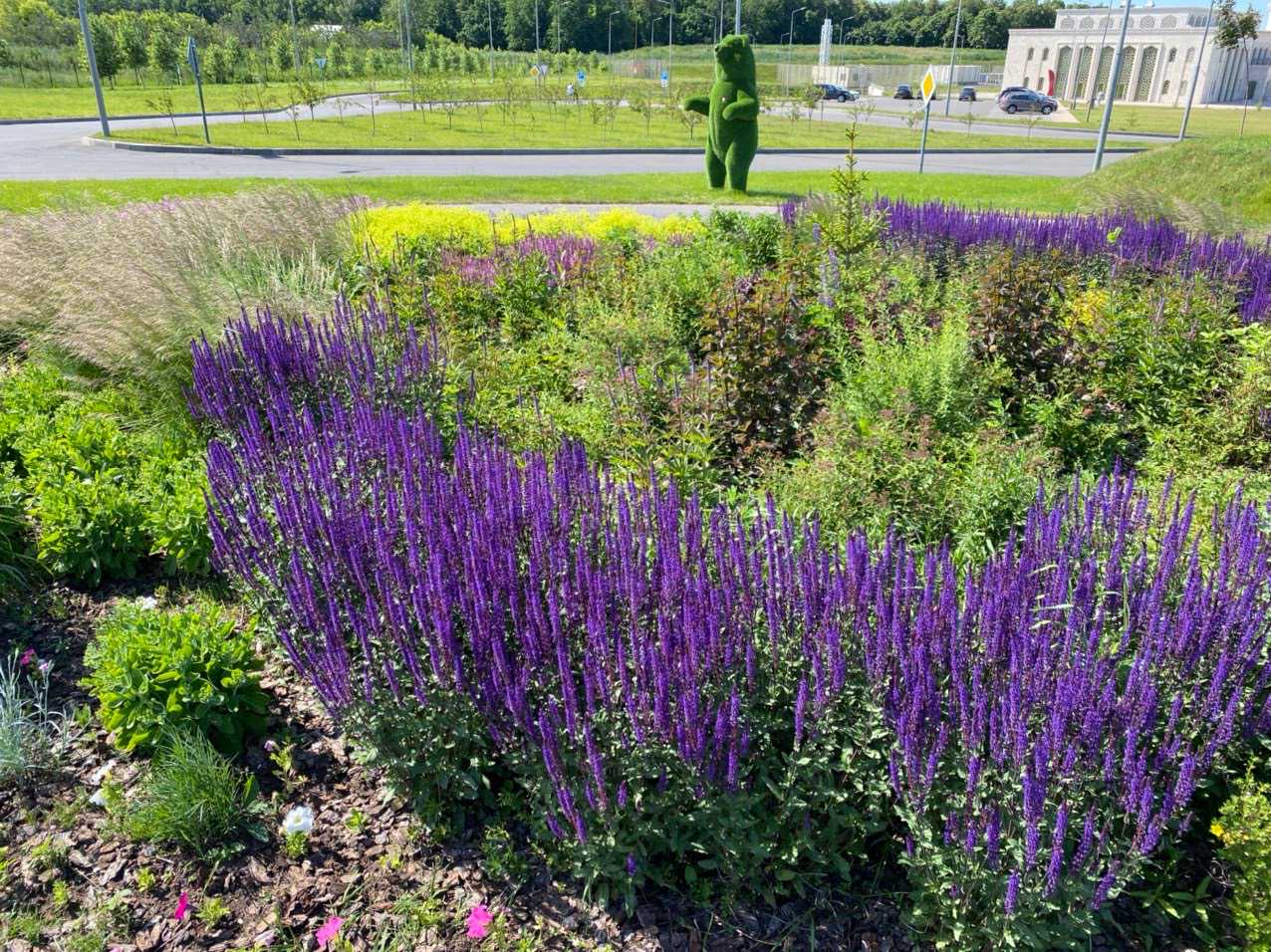 Наши работы