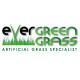 Evergreen Grass