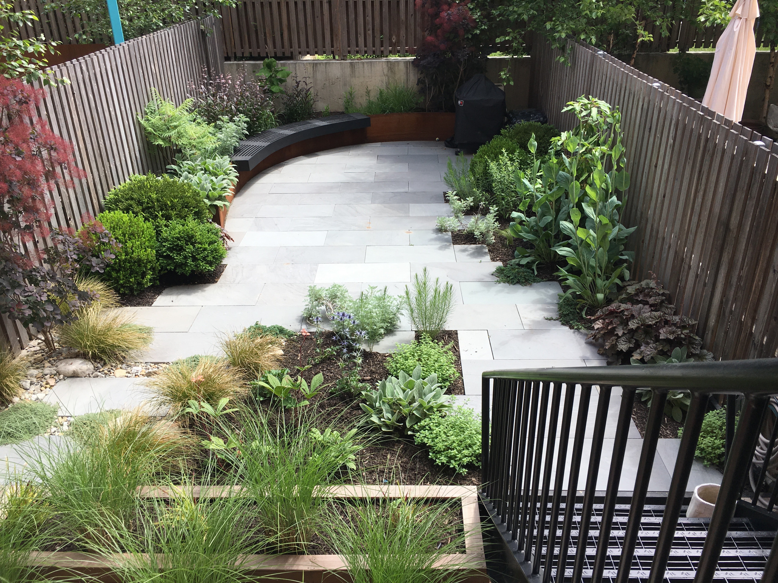 Modern Garden with Curved Corten Border