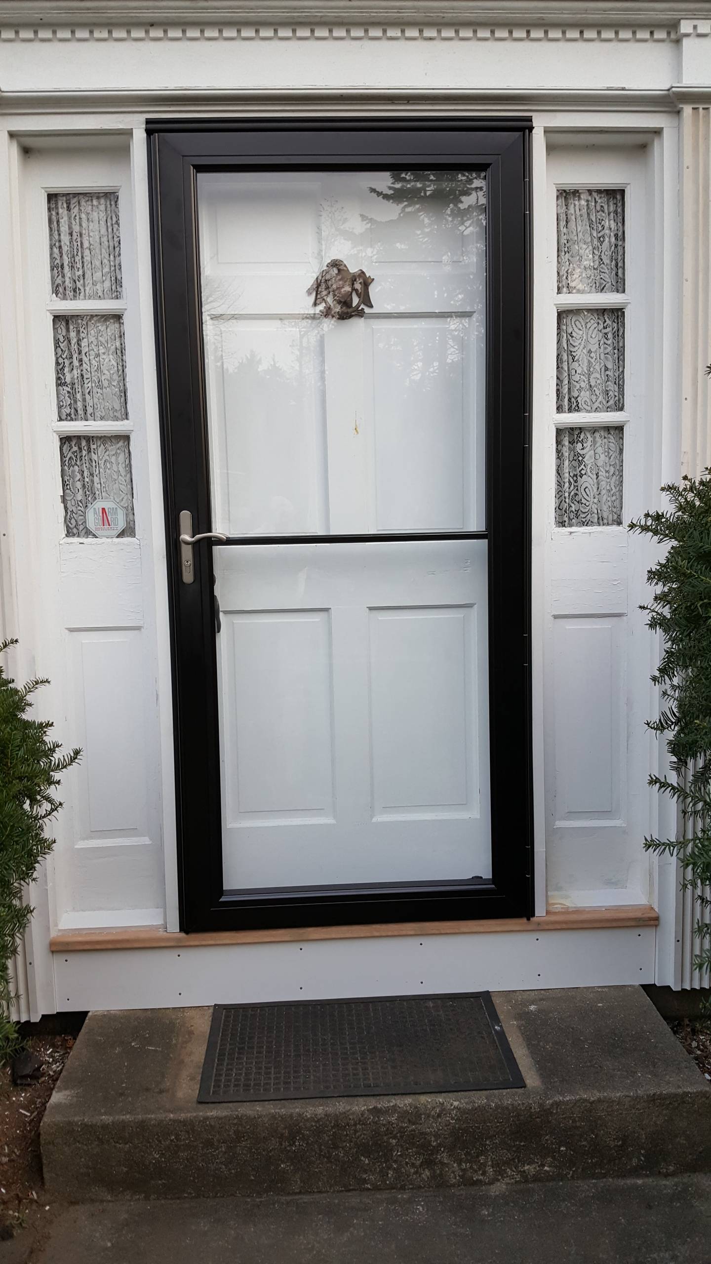 Storm Doors & Windows