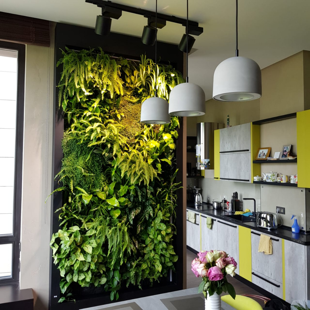 Фитостена из живых растений  2.7м х 1м