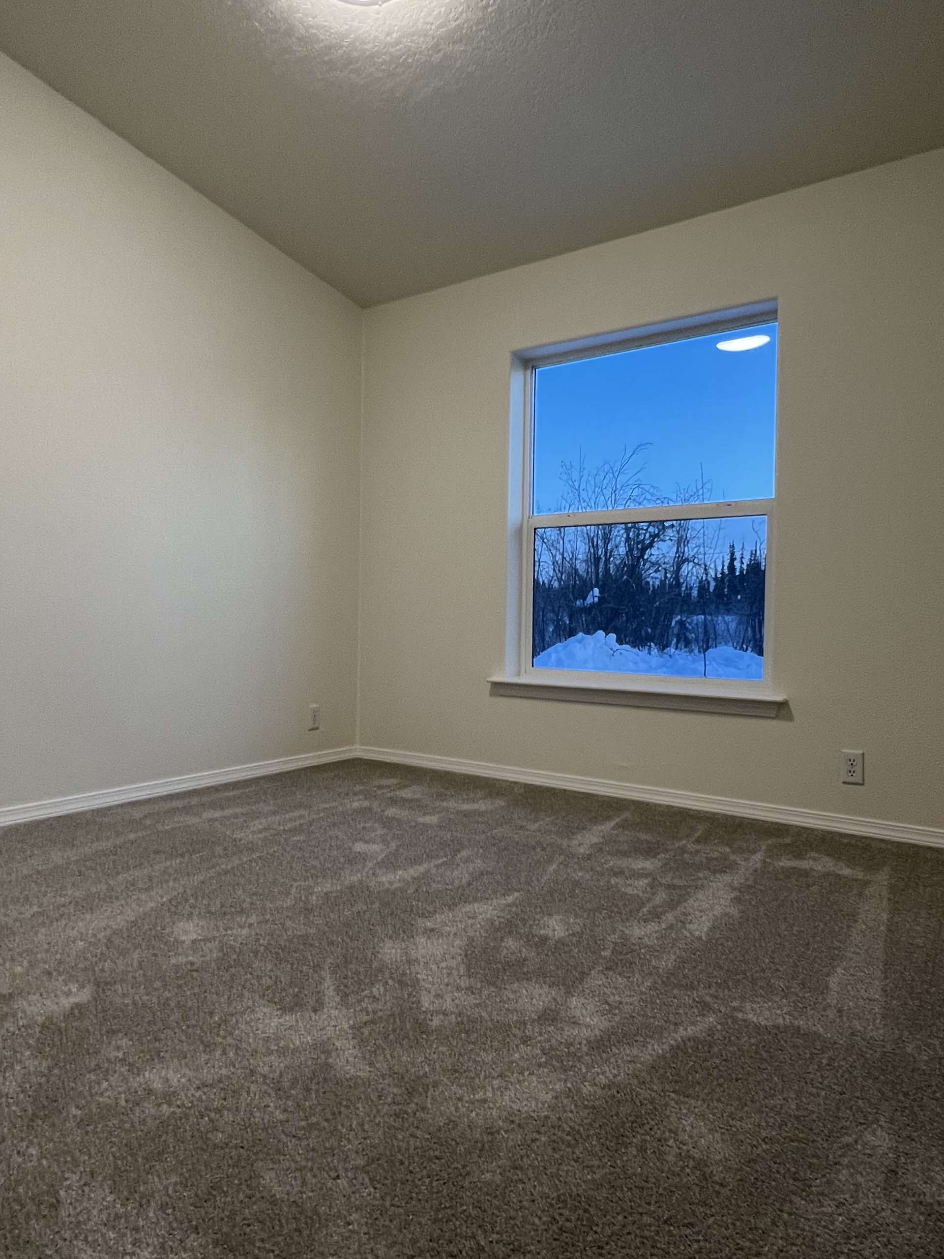 Full House Remodel