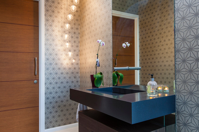 Altitude contemporary-powder-room