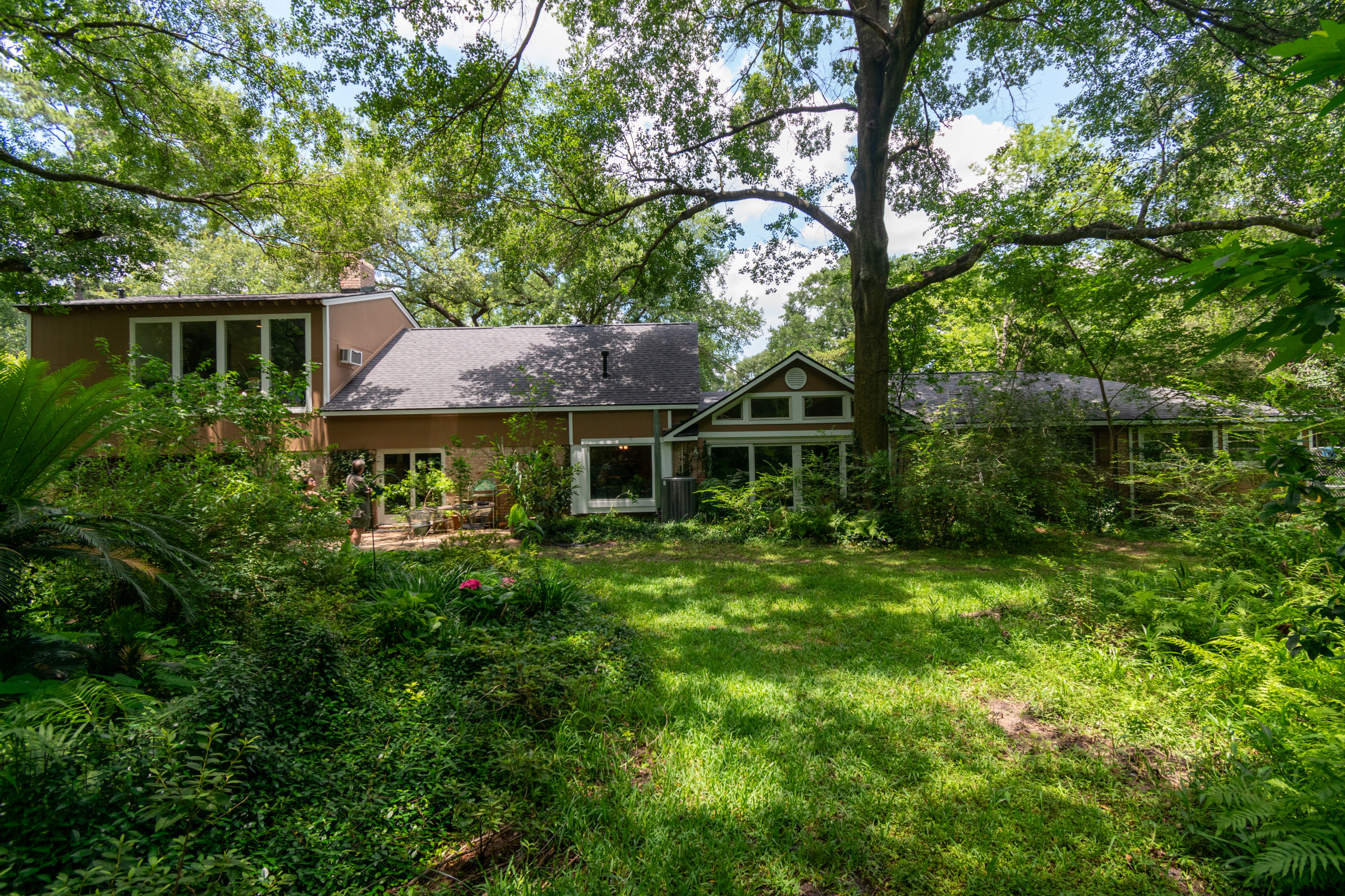 The House in the Woods