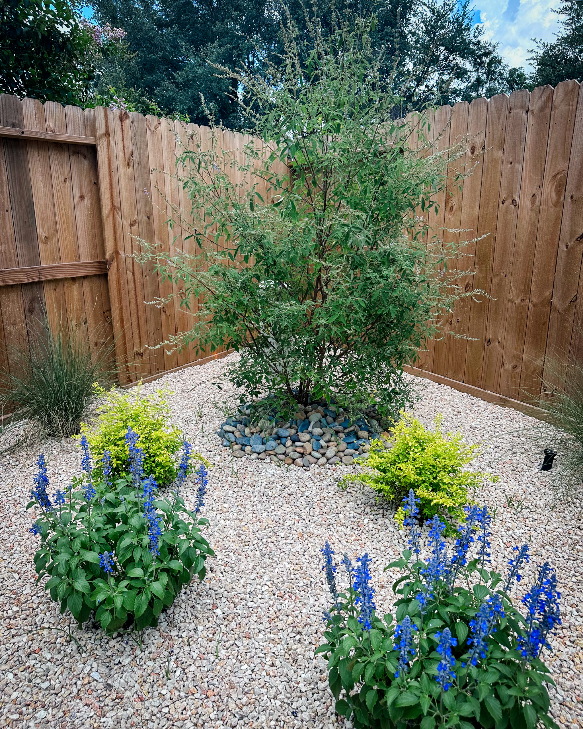 Fulshear Backyard Oasis