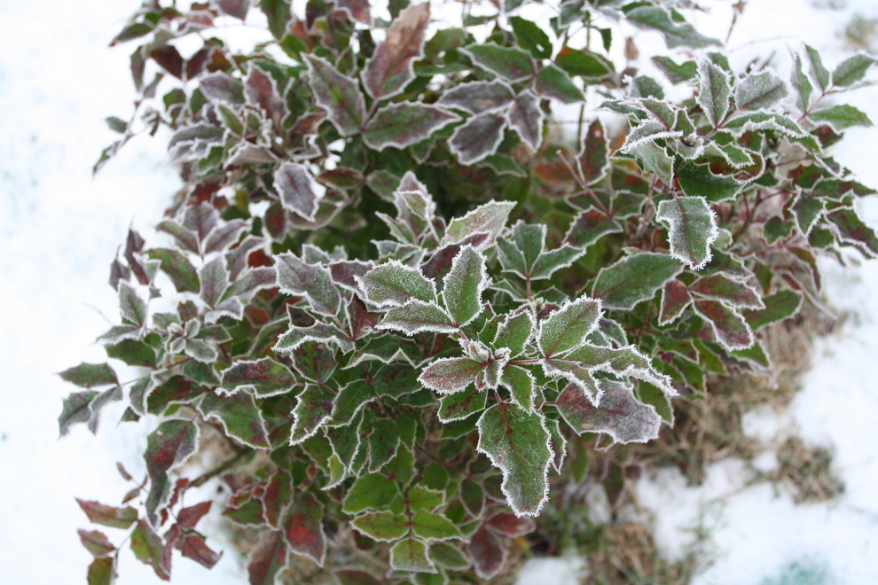 Репинские Усадьбы