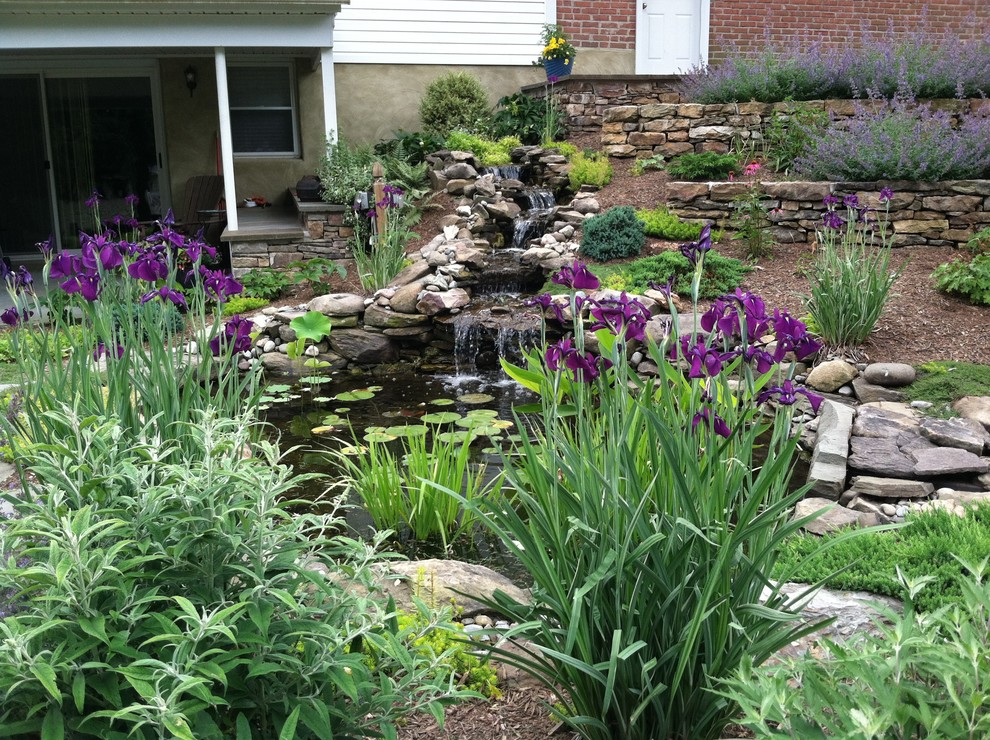 This is an example of a traditional garden in Baltimore.