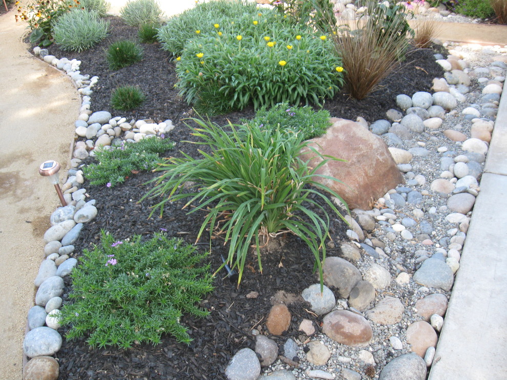Drought tolerant and low maintenance