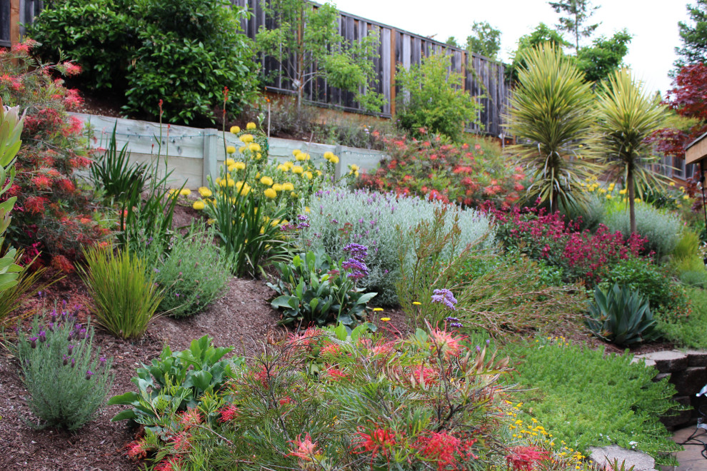 Scotts Valley Terraced Garden