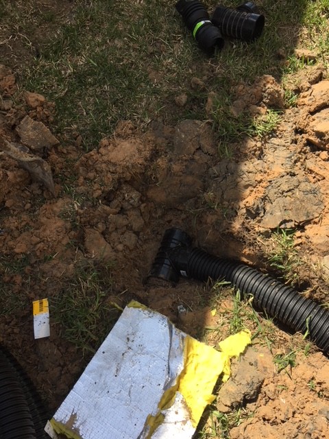 Drain spouts Tied into French Drains Irrigation