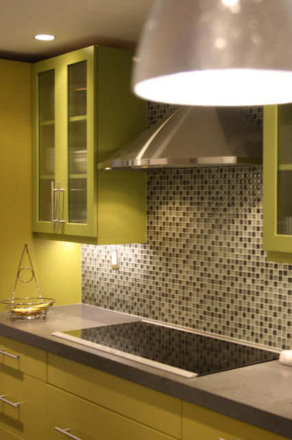 Berns Kitchen contemporary-kitchen