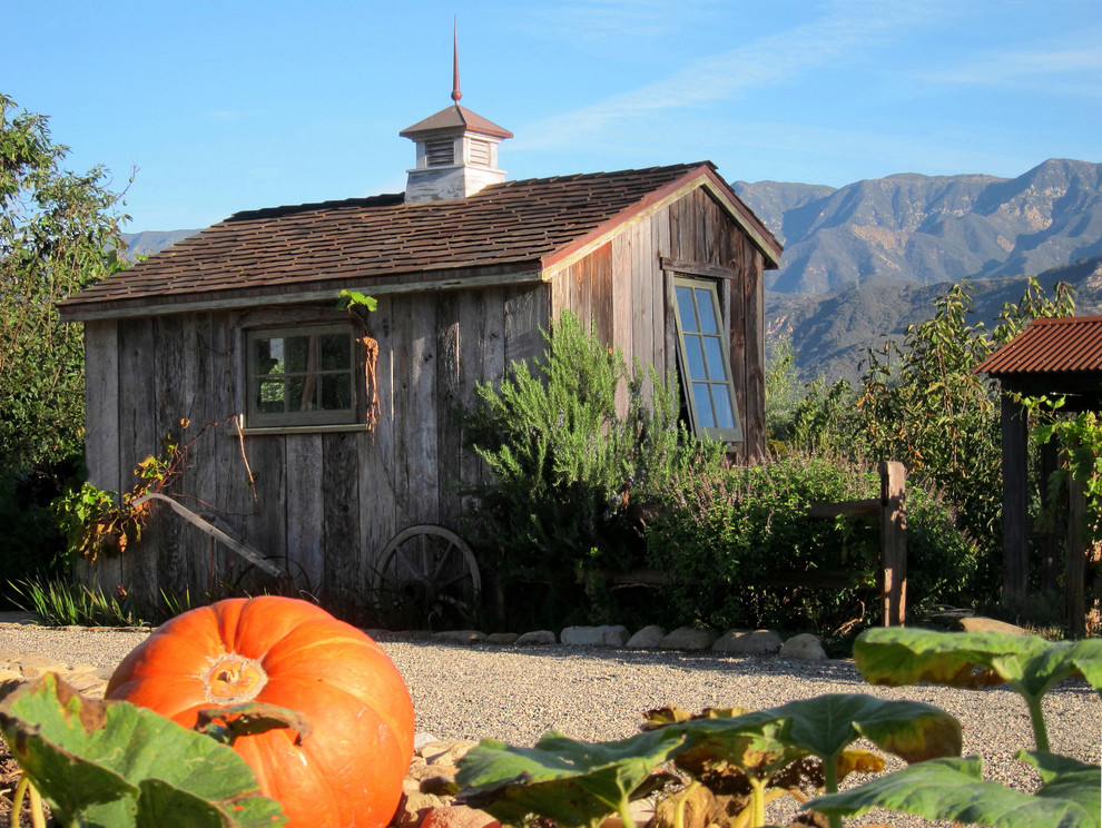 A Pumpkin patch and Salt Box Shed - Farmhouse - Shed 