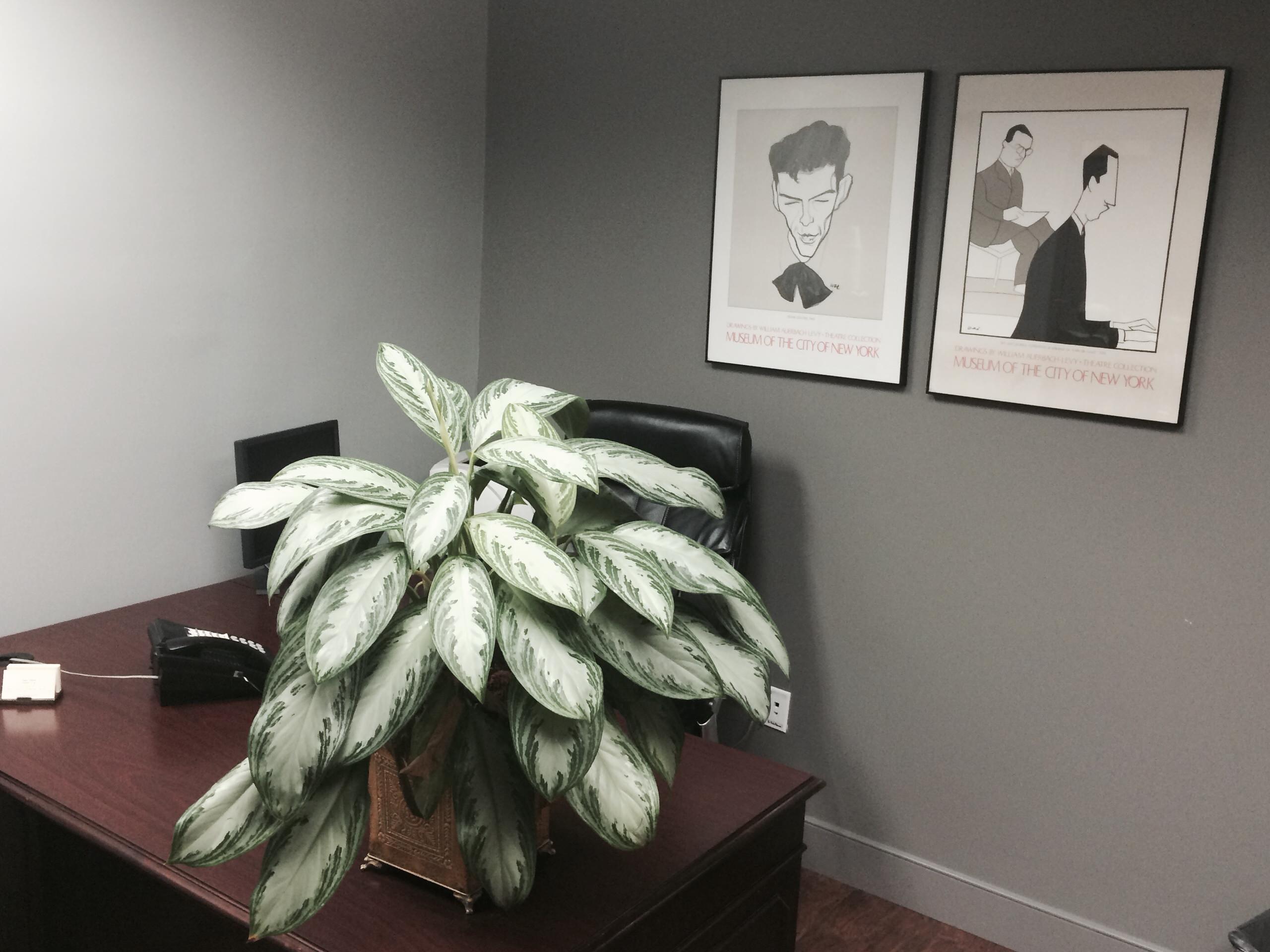 Law Office Commercial