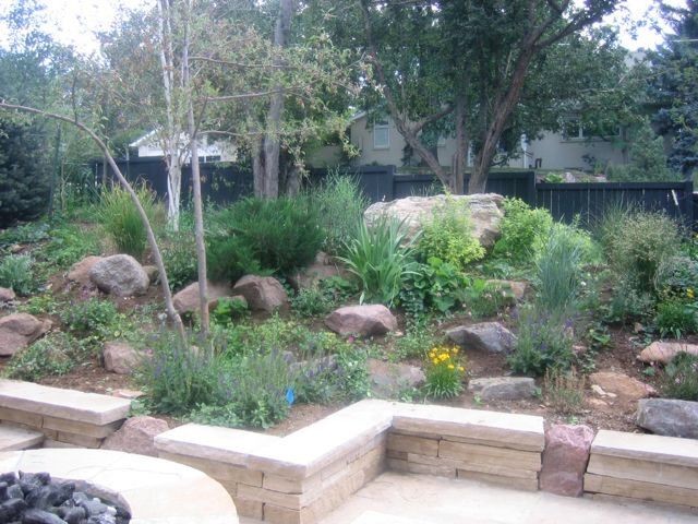 Custom Backyard Design