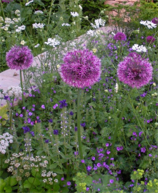 How to Grow Your Own Cut Flower Garden Houzz IE