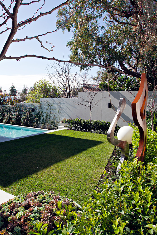 Design ideas for a contemporary garden in Perth.
