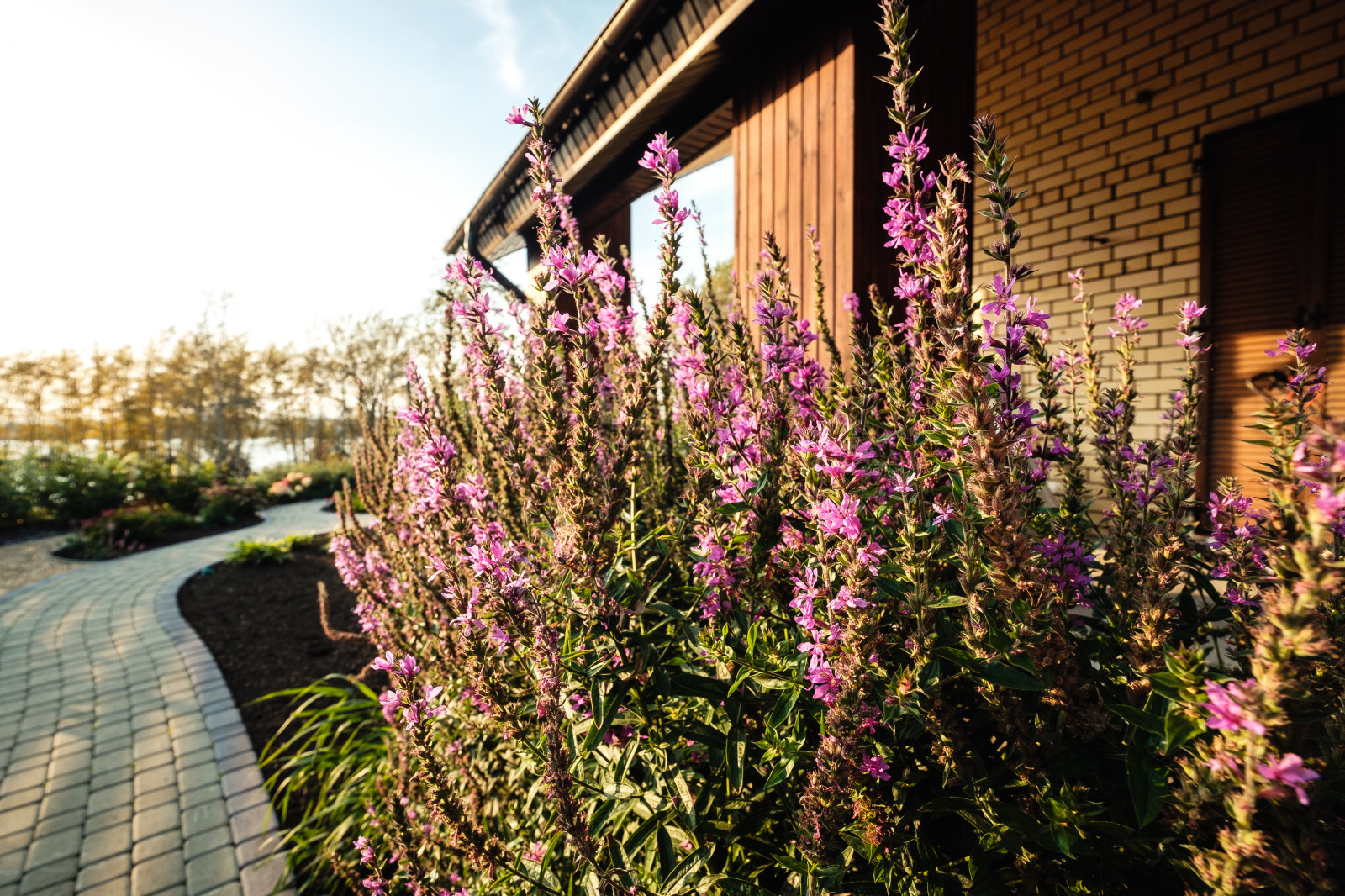 Сад на крутом склоне