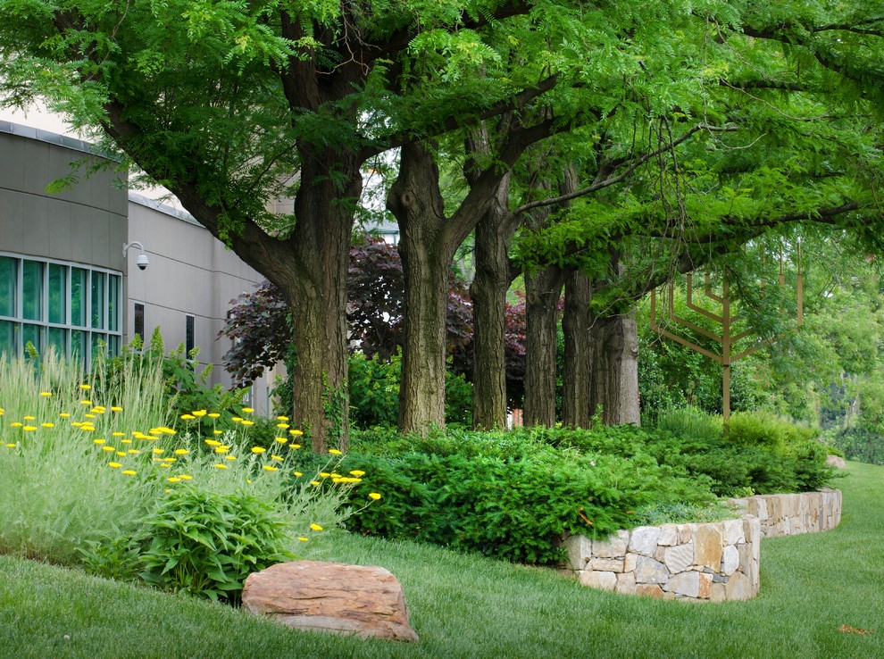 Beth El on Old Georgetown Rd, Bethesda