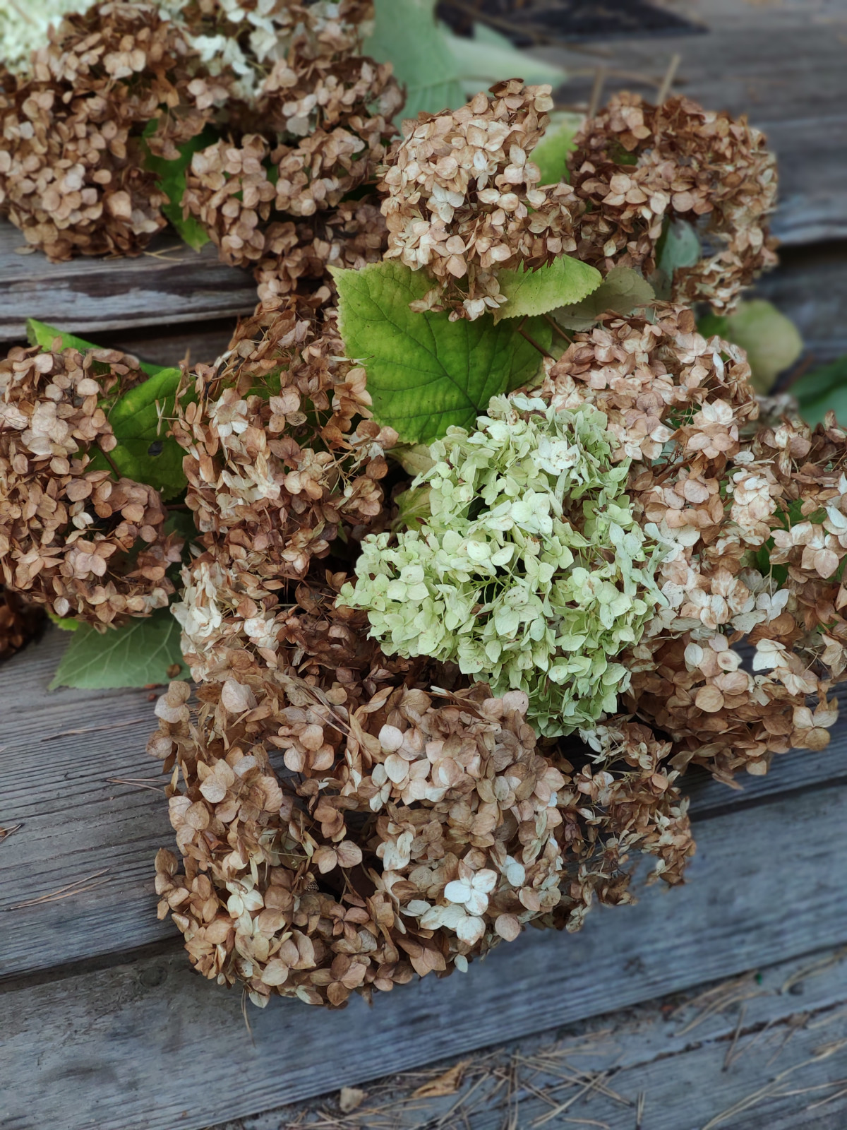 "Дача в Кратово"