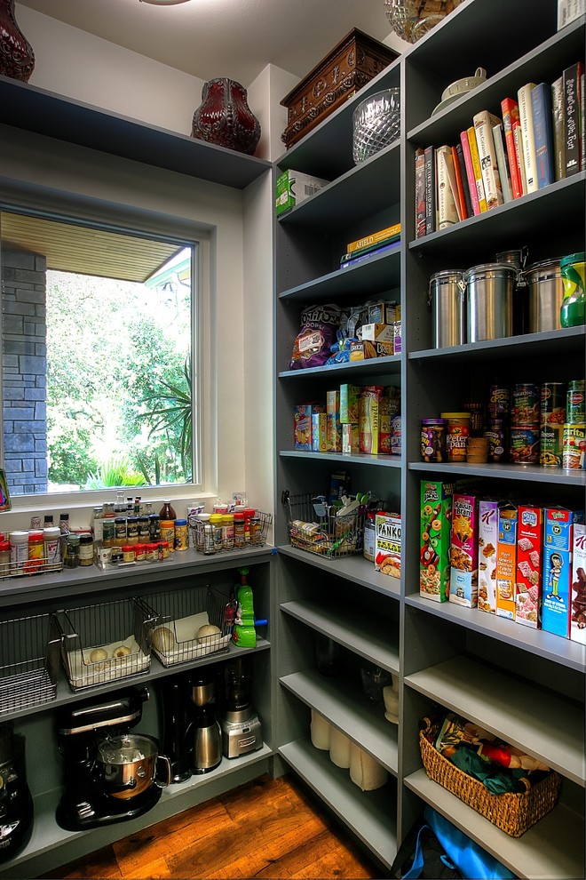 Photo of a mid-sized transitional kitchen pantry in Austin with open cabinets, green cabinets and medium hardwood floors.