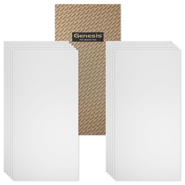 2 X 4 Genesis Smooth Pro Lay In Ceiling Tile Set Of 10 2 X 4 Genesis Smooth Pro Lay In Ceiling Tile Set Of 10 Contemporary By Diy Decor