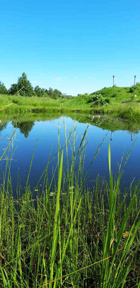 Пермакультурная личная усадьба.