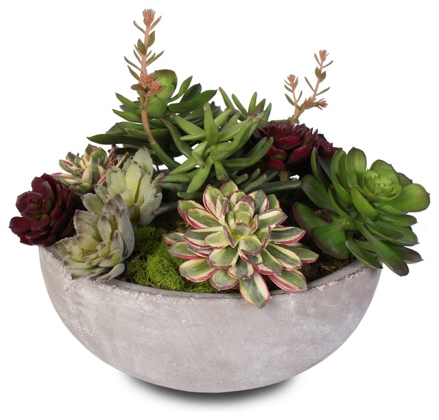 Artificial Succulent Variety With Modern Cement Round Bowl