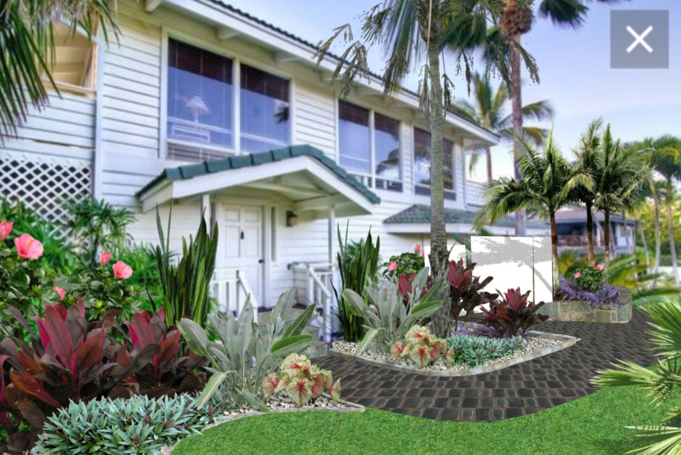 Tropical/Pseudo-Tropical