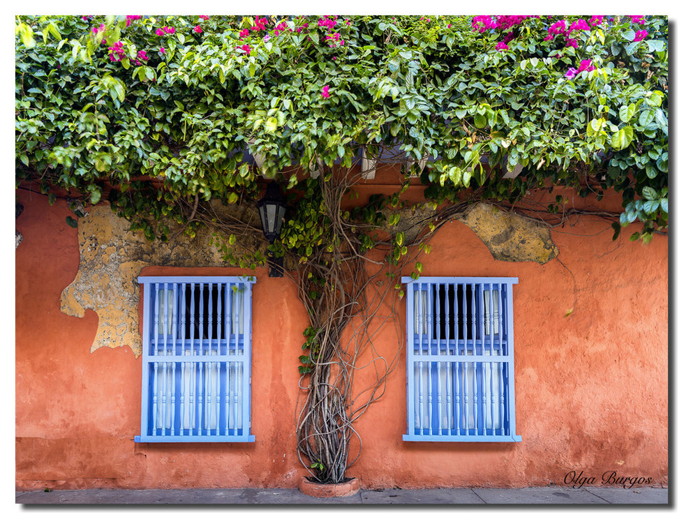 Indoor/Outdoor Wall Decor 'Provincial VI' ArtPlexi by Olga Burgos