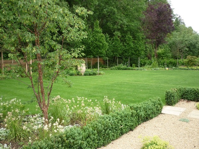 Mid-sized contemporary backyard garden in Hertfordshire.
