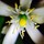 Last commented by nctropics