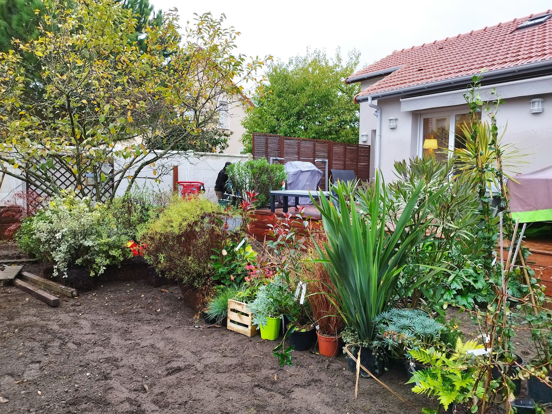 Chantier : les plantes sont livrées