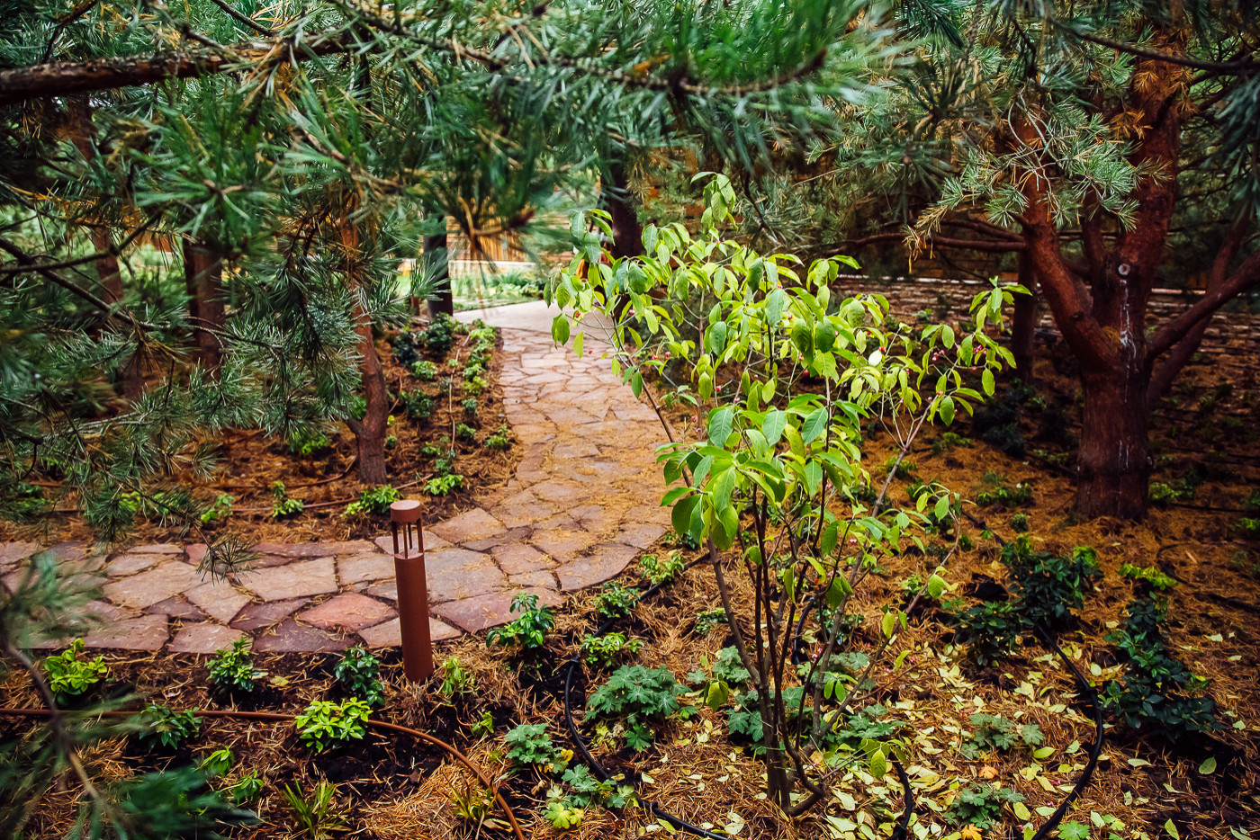 Хвойный переулок