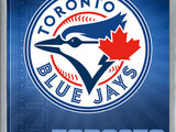 MLB Toronto Blue Jays - Logo 16 Wall Poster, 22.375 x 34, Framed