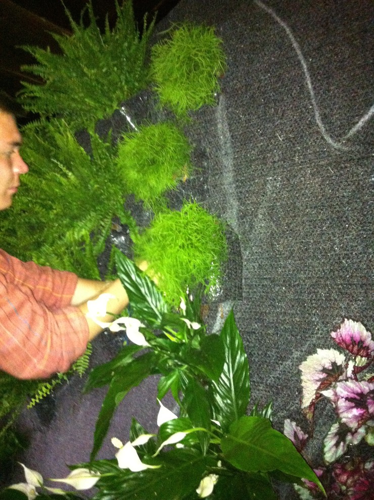 Вертикальные сады