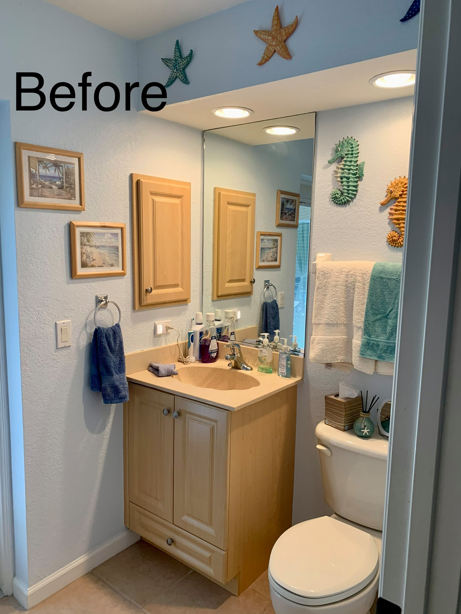 Guest Bathroom Remodel.