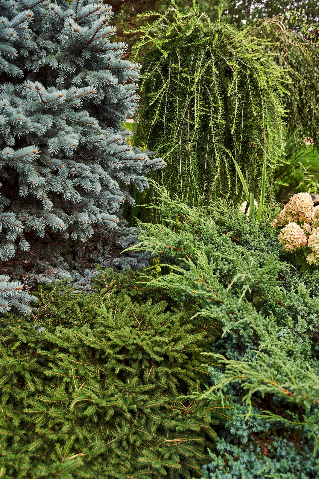 Простор и комфорт загородной жизни