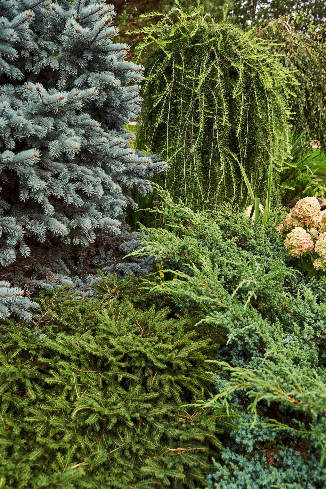 Простор и комфорт загородной жизни