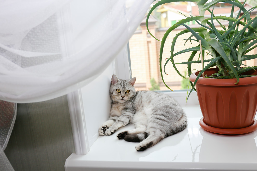 Городская усадьба