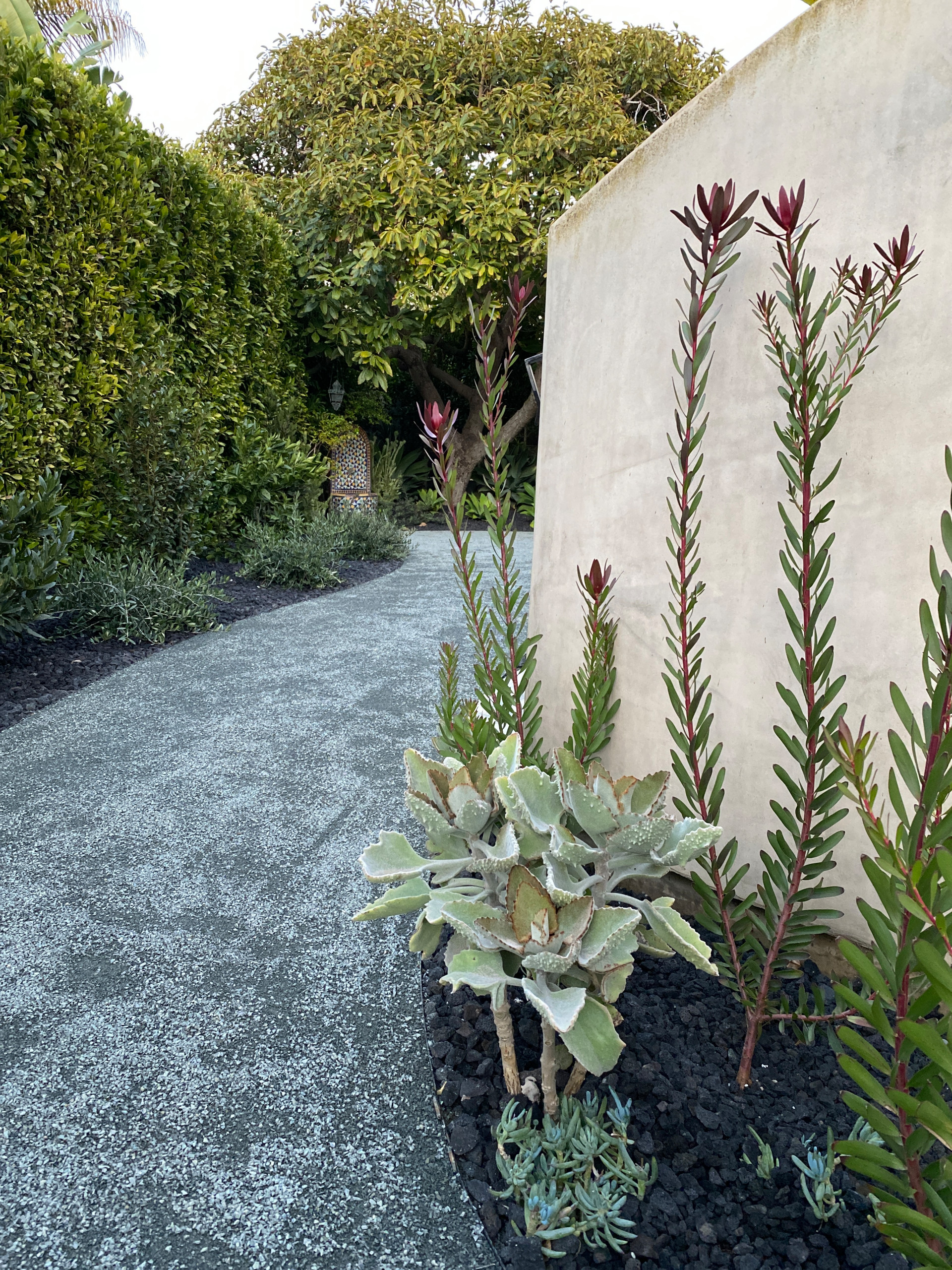 Private Los Angeles Oasis