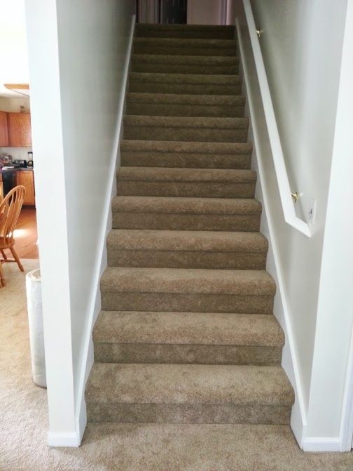 Inspiration for a mid-sized transitional carpeted straight staircase remodel with carpeted risers