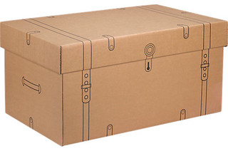 Cardboard Storage Trunk