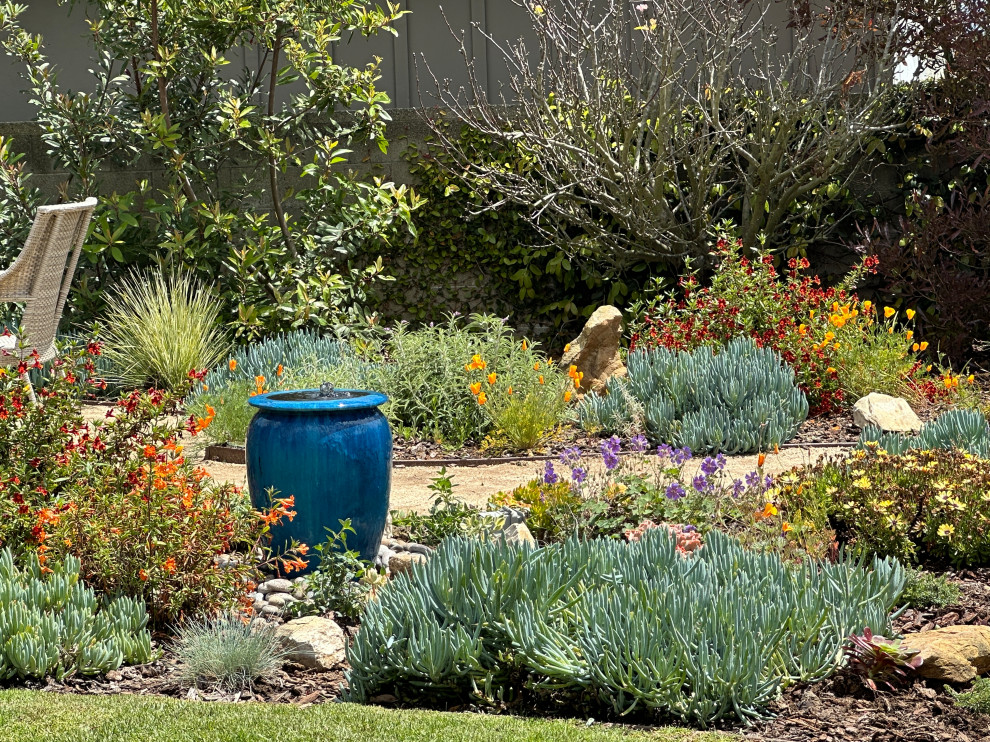 Palos Verdes Garden Waterwise & Native Plant Garden in Full Spring Bloom