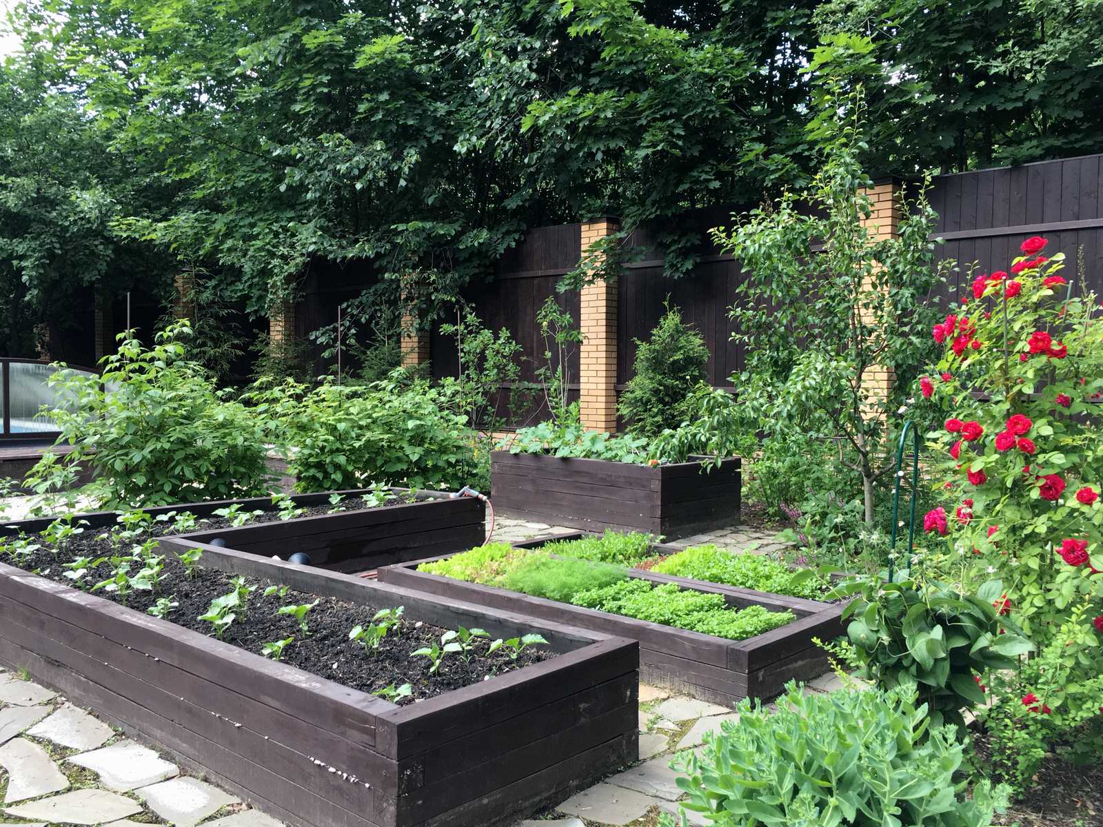 Белкин сад. Лето 2019