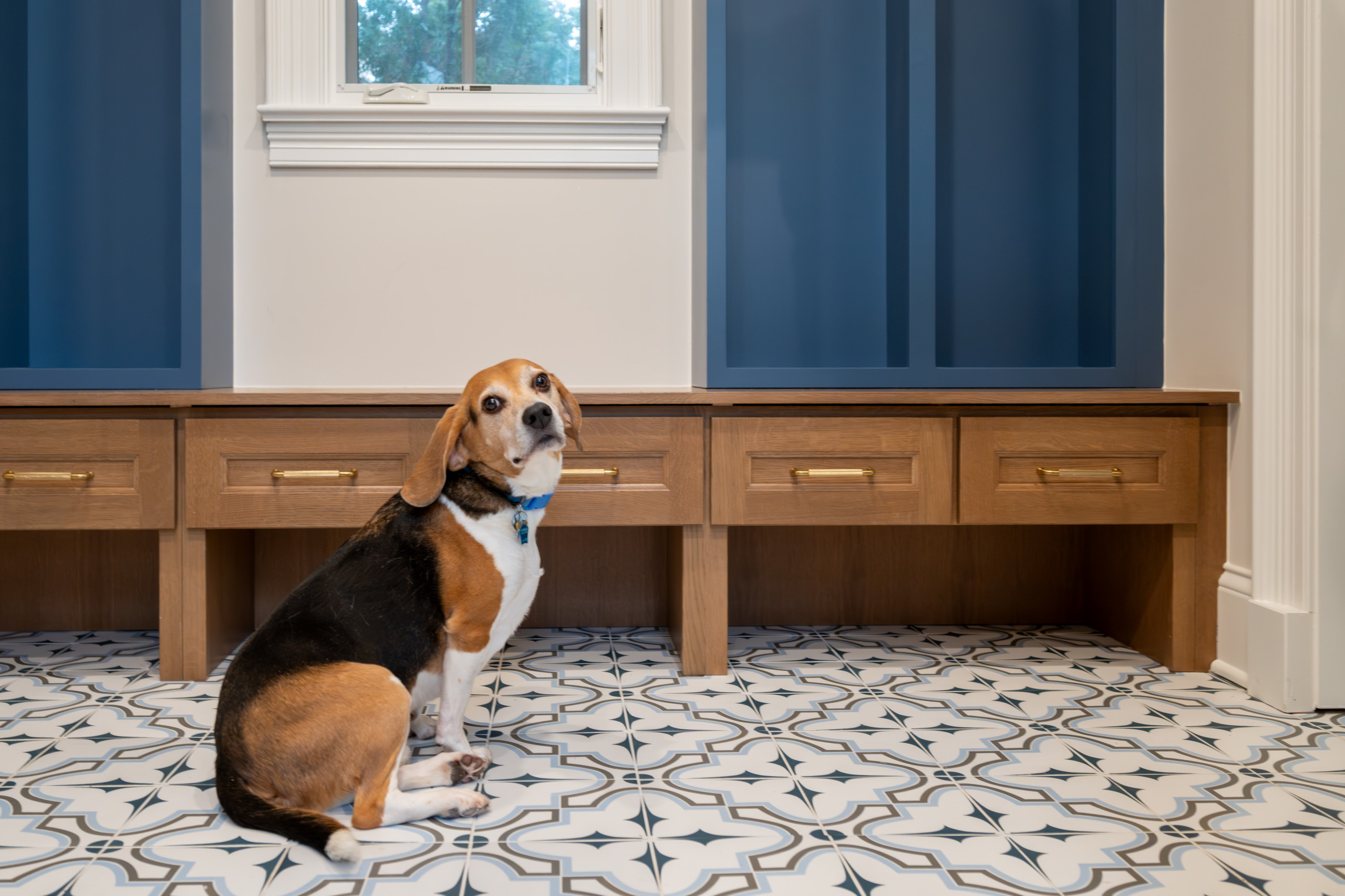 Reimagined Northbrook First Floor