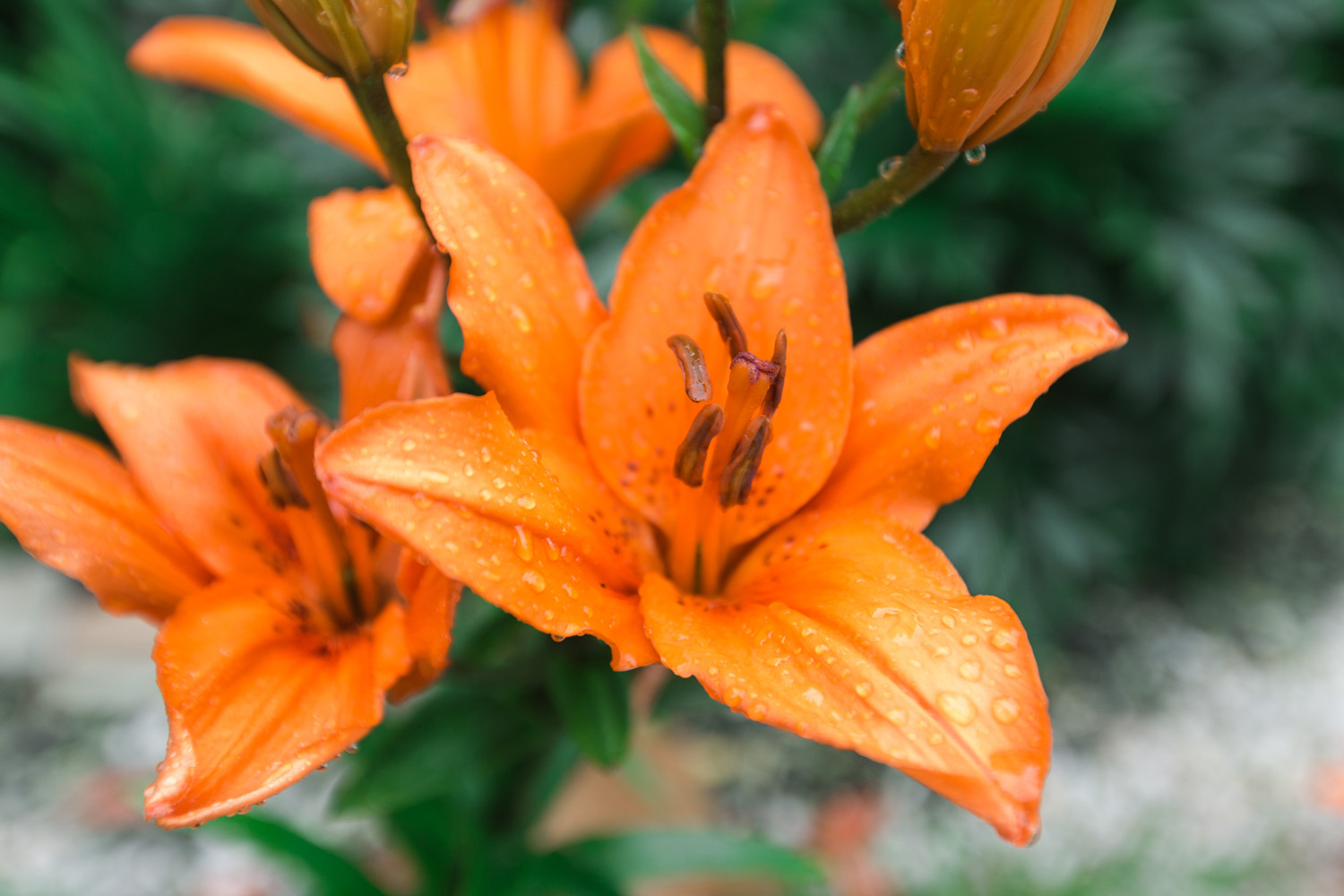 Экстерьер загородного дома